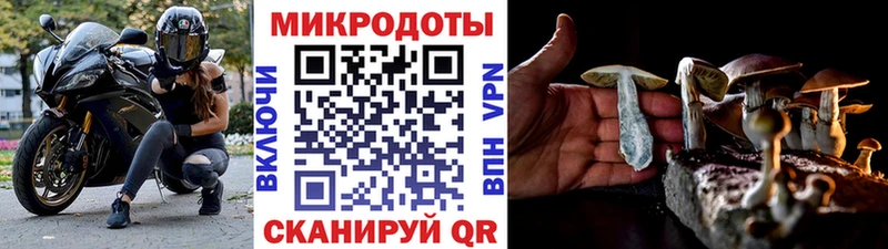 Галлюциногенные грибы Cubensis  мега ссылка  Велиж 