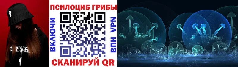 Псилоцибиновые грибы Psilocybine cubensis Велиж